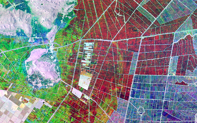 NASA giúp Việt Nam làm nông nghiệp công nghệ cao