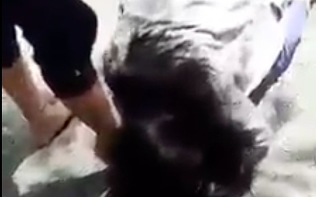 Video: Hình ảnh đau đớn đằng sau clip nữ sinh bị đánh "hội đồng", bắt liếm chân