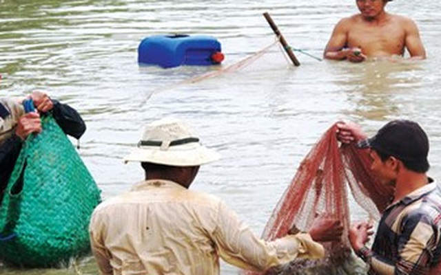 Cấp khống thức ăn thủy sản: Địa phương bó tay, nông dân bất bình