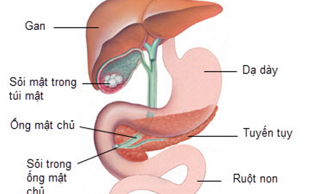 Ăn tối quá muộn là nguyên nhân gây ra 10 loại bệnh nguy hiểm