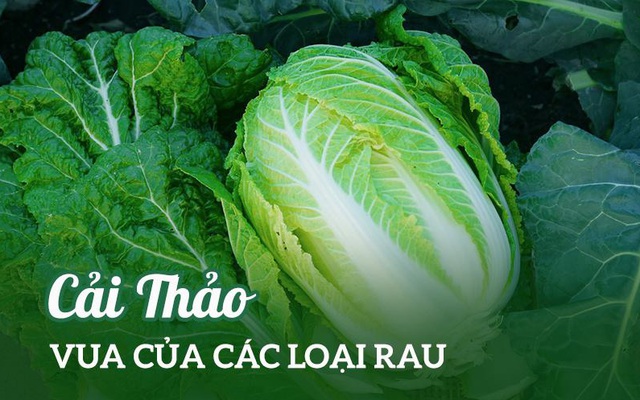 Loại rau rẻ tiền ở Việt Nam được Trung Quốc, Hàn Quốc tôn vinh là "vua" vì bổ dưỡng