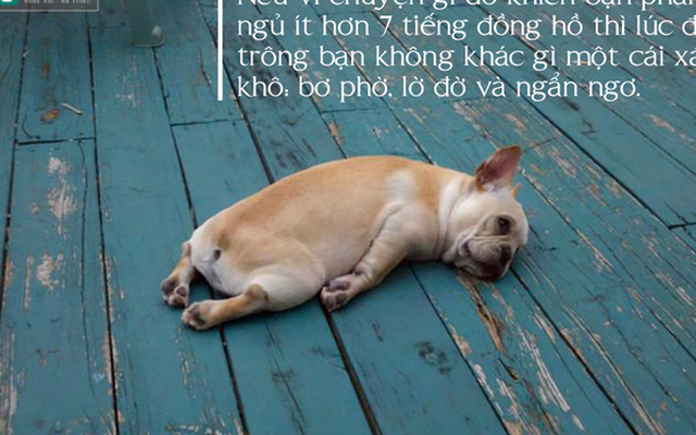 Các hành động biến bạn trở thành "con sâu ngủ"