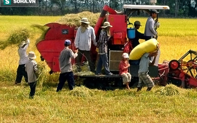 Nghệ An: Người phụ nữ bị máy tuốt lúa cán tử vong