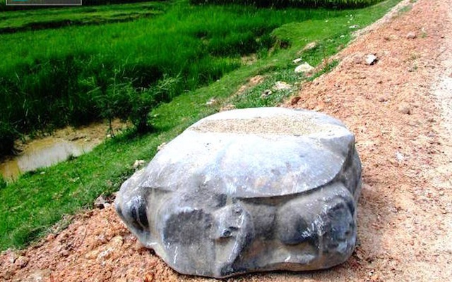 Vô tình nhặt được rùa đá cổ nặng nửa tấn... trên đường làng