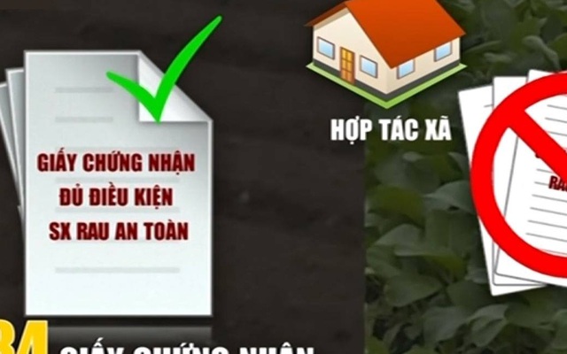 Phát hiện lỗ hổng nghiêm trọng về rau an toàn ở Hà Nội