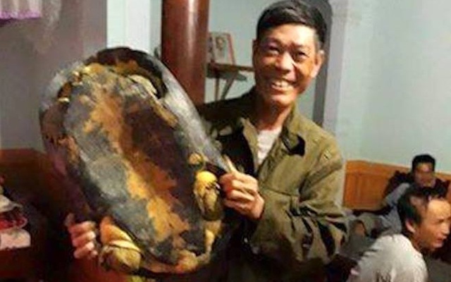 Dân ùn ùn kéo đến xem rùa có nhiều vân vệt vàng nặng 16kg ở Nghệ An