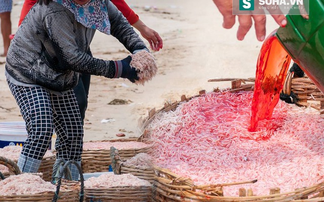 Nghi vấn ruốc nhuộm đỏ bằng hóa chất và chỉ bán ở Hà Nội