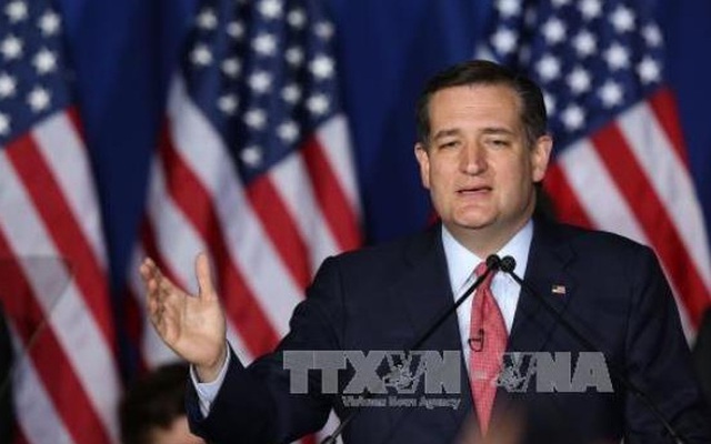 Thượng nghị sỹ Ted Cruz cảnh báo ông Trump về khả năng bạo loạn