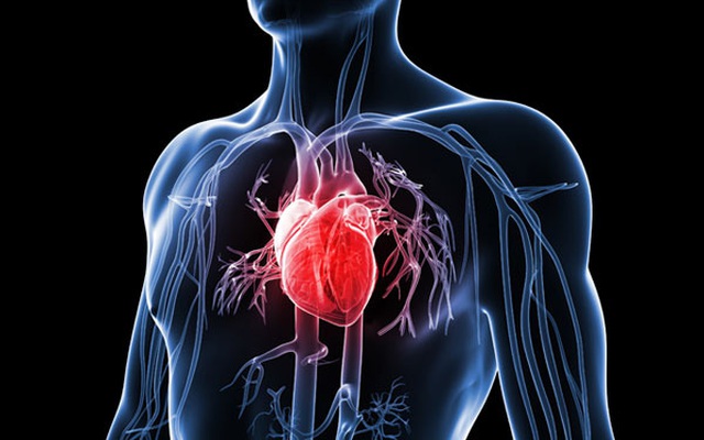 10 lý do đơn giản dẫn đến bệnh đau tim không phải ai cũng biết
