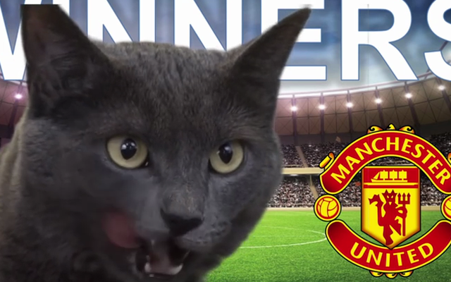 CLIP: "Mèo tiên tri" ngó lơ Man City, quyết theo Man United