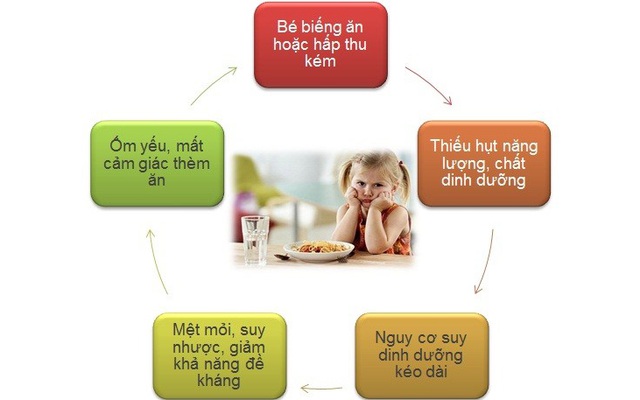 Khắc phục toàn diện  tình trạng trẻ biếng ăn cùng chuyên gia