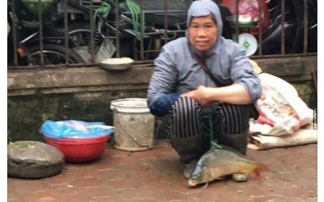 Chị hàng cá chia sẻ về bức ảnh buộc dây vào cá mang bán rong ở vỉa hè Hà Nội