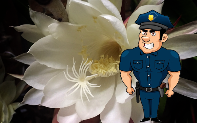Phá án qua tranh: Viên cảnh sát thông minh phá trọng án chỉ bằng 1 bông hoa
