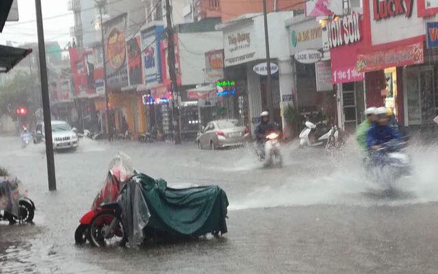Clip: Người dân bắt cá ngay trên đường phố giữa tâm bão số 4