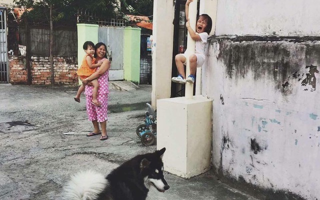 Cô bé la khóc, trèo lên cột vì sợ chó: Khoảnh khắc "gây bão" mạng xã hội Việt