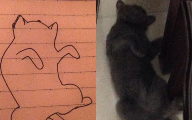 Bức tranh vẽ mèo kỳ lạ, ai cũng giật mình khi so sánh với hình ảnh thực tế