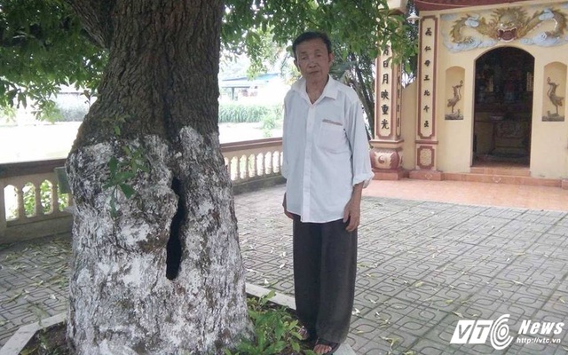 Video: Cận cảnh cây báu vật gần nghìn năm tuổi được đại gia trả giá chục tỷ đồng không bán ở Đồng Tâm
