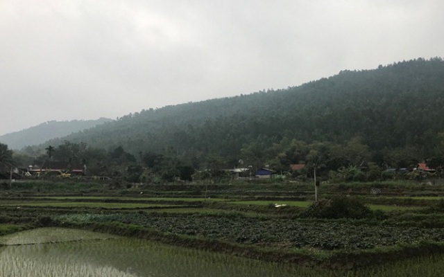 Phó Thủ tướng yêu cầu kiểm tra "siêu dự án" nghĩa trang tại Vĩnh Phúc