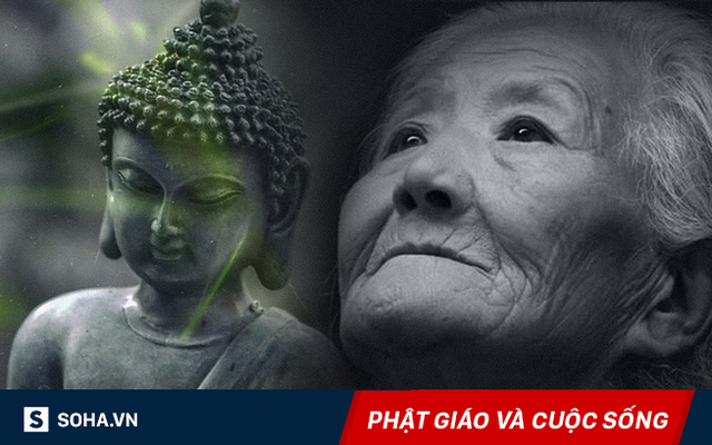 Bỏ mẹ già đi tìm đức phật, chàng trai gặp người cần tìm ở nơi chưa bao giờ ngờ đến!