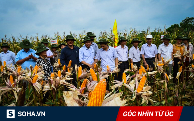 Dù thực phẩm biến đổi gien được 109 người đạt Nobel bảo vệ, nhưng hãy để người tiêu dùng Việt tự lựa chọn!