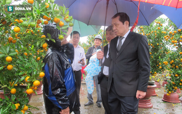 Chủ tịch Đà Nẵng đi chợ hoa ngày mưa, nghe người dân chia sẻ khó khăn