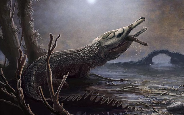 "Quái vật đại dương" kỷ Jura: Chỉ há miệng đã có thể nghiền nát rùa biển