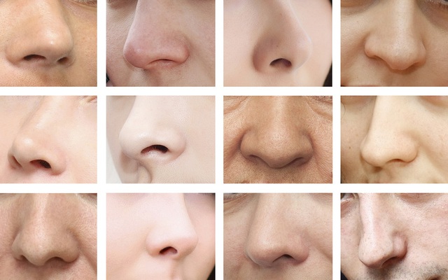 Nghiên cứu mới: Hình dáng mũi của mỗi người là do thời tiết "nhào nặn"