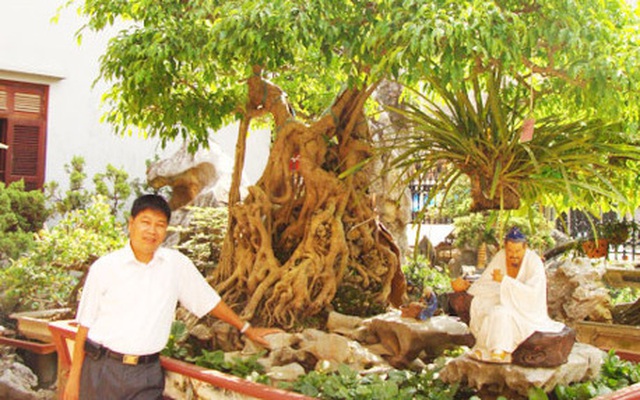 Mãn nhãn với những vườn cây tiền tỉ