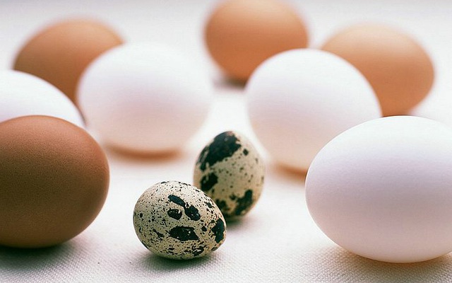 10 cách chế biến trứng cút khiến món ăn trở thành vị thuốc quý bồi bổ sức khỏe
