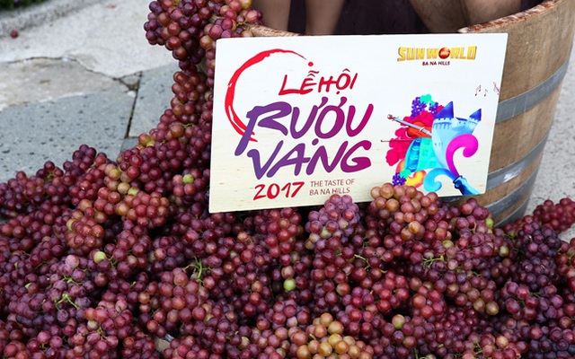 Lễ hội rượu vang ở Sun World Ba Na Hills: Ép nho, uống vang, ngắm hoa giữa thiên nhiên yên bình