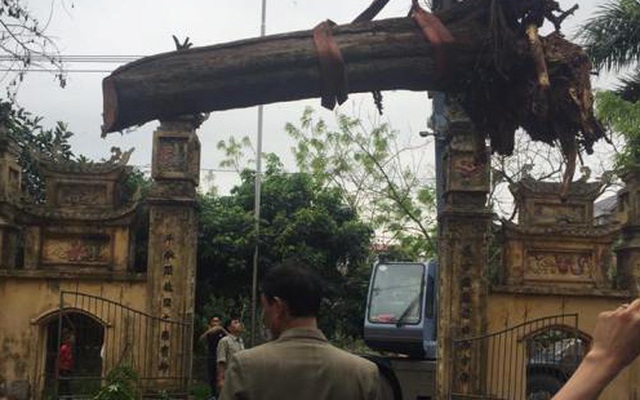 Cận cảnh “báu vật” giá 24,5 tỷ nằm chỏng chơ trong xó nhà đại gia Bắc Ninh