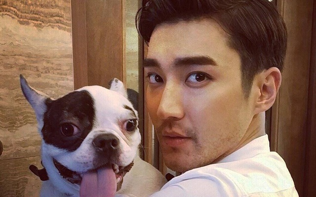 Siwon từng bị chó cưng cắn làm ảnh hưởng đến đơn vị, gia đình cố CEO tiết lộ tình tiết quan trọng