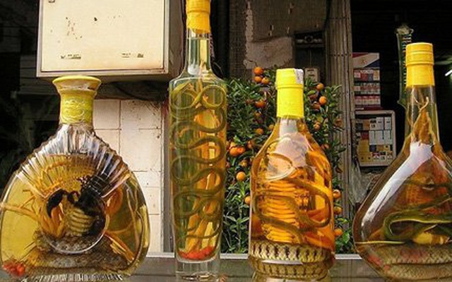 Công dân Nga thoát án hình sự vì mua phải rượu giả Việt Nam