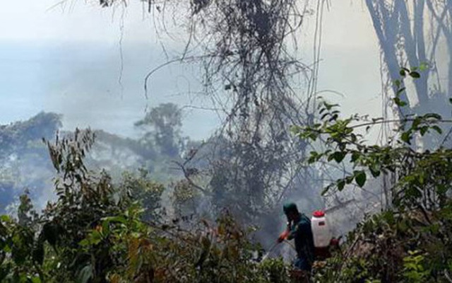 Bắt quả tang 2 người đốt rừng trên đảo Phú Quốc