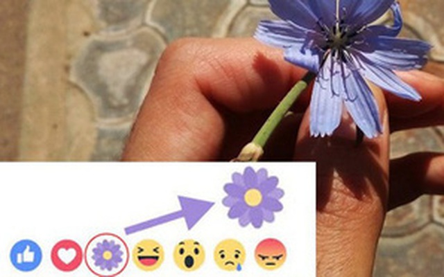 "Thả hoa" nhiều trên Facebook như thế, nhưng liệu bạn có biết ý nghĩa bông hoa màu tím này không?