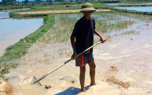 Hà Tĩnh mất mùa lớn