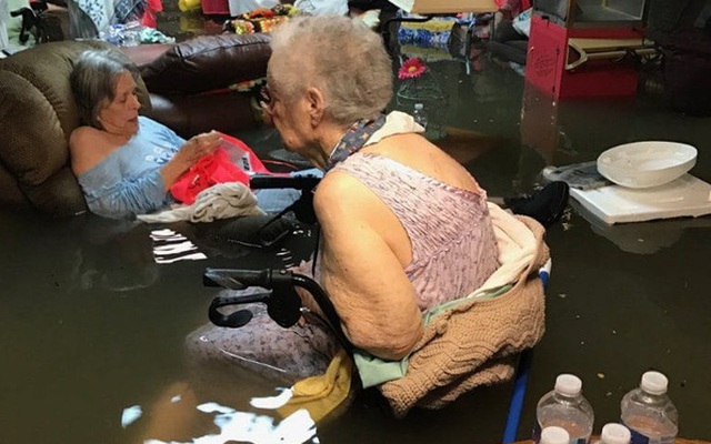 Mỹ: Bức ảnh gây sốc trong bão Harvey