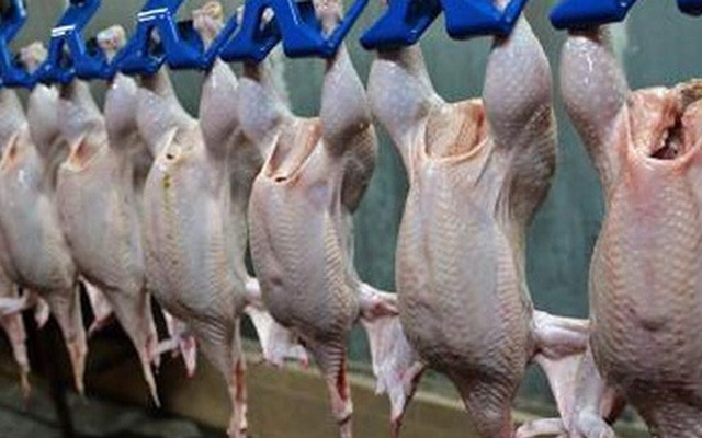 Lần đầu tiên thịt gà Việt Nam được xuất khẩu sang Nhật Bản
