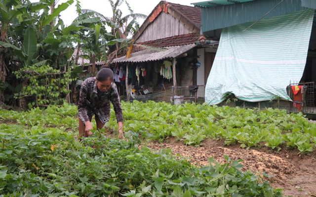 Cô giáo mầm non nhận lương hưu 1,3 triệu đồng/tháng về làm phụ bếp