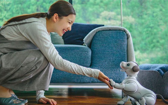 Chó robot AIBO sẽ lấy lại danh tiếng cho Sony?