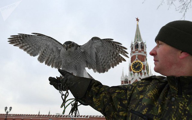 Biệt đội chim săn mồi bảo vệ Điện Kremlin