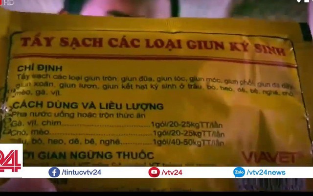 Cận cảnh quy trình tẩm ướp cá khô bằng... thuốc tẩy giun