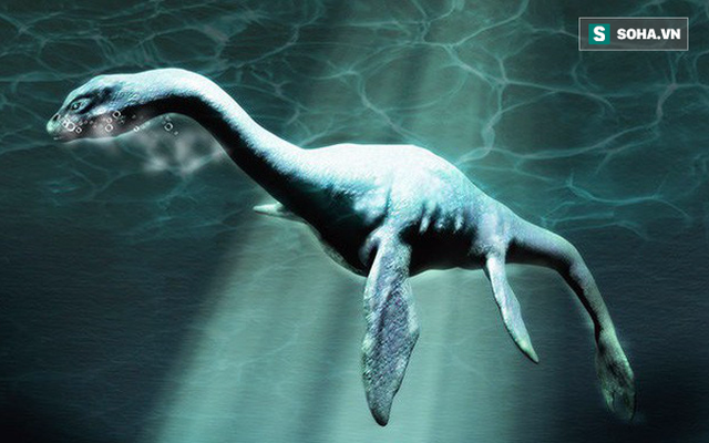 Phát hiện sinh vật biển khổng lồ ở Nam Cực, rất giống quái vật hồ Loch Ness