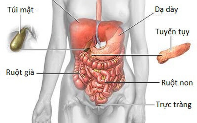 Căn bệnh ung thư chỉ có 4/100 người sống trên 5 năm: Cảnh báo từ cơn đau bụng