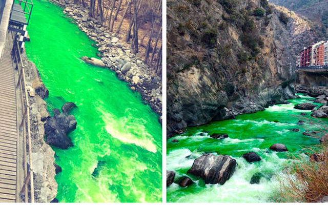 Sự thật không ai ngờ tới đằng sau con sông nước chuyển màu xanh ngắt, bị tố ô nhiễm