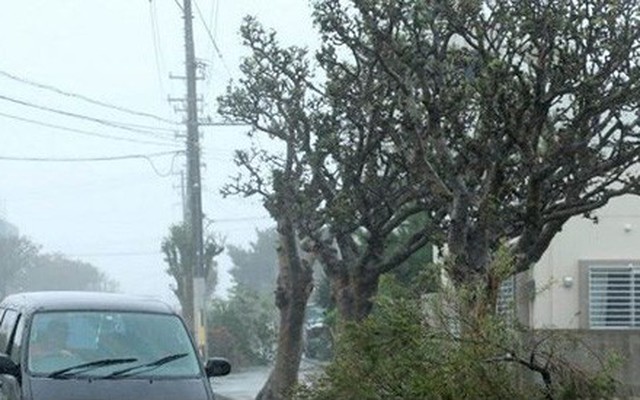 Nhật Bản tê liệt vì bão Trami, chuẩn bị đối mặt bão mới