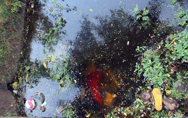 Đi uống cà phê, phát hiện thi thể 2 thanh niên dưới mương nước