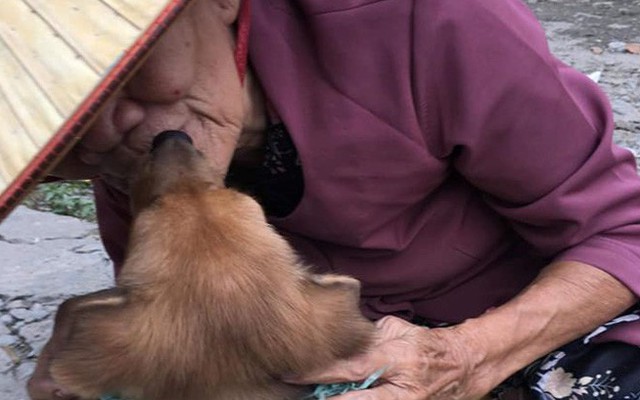 Tình tiết bất ngờ phía sau câu chuyện bà cụ nghèo ở Sài Gòn bán chó lấy tiền chữa bệnh