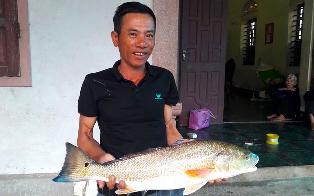 Hơn 1 giờ vật lộn, ngư dân câu được con cá vàng óng, nghi sủ vàng quý hiếm