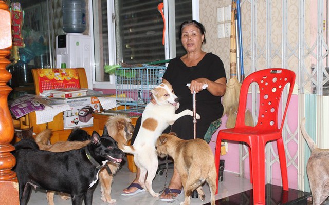 Người phụ nữ 18 năm nhặt chó bị bỏ rơi về nuôi